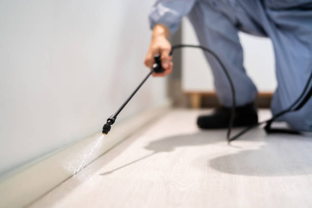 Bed Bug Pre-Treatment Preparation Assessment in Mount Penn