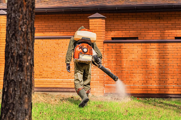 Bed Bug Clearance Verification and Documentation in Mount Penn